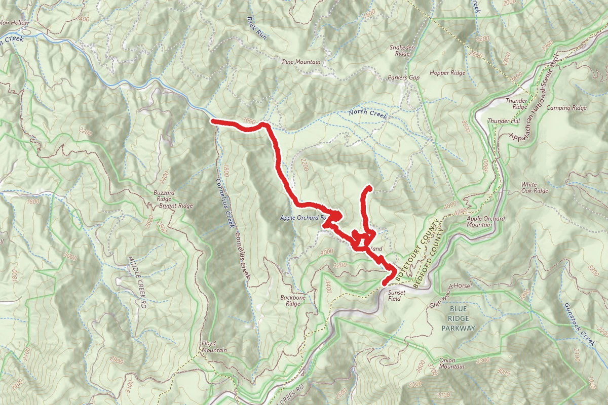 Apple Orchard Falls - Forest Trail 17