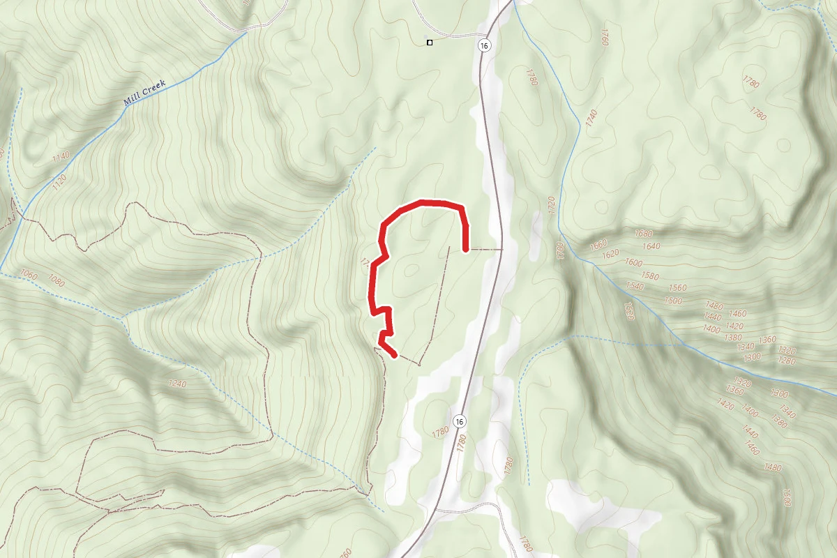 Bear Hollow Mountain Wildlife Management Area