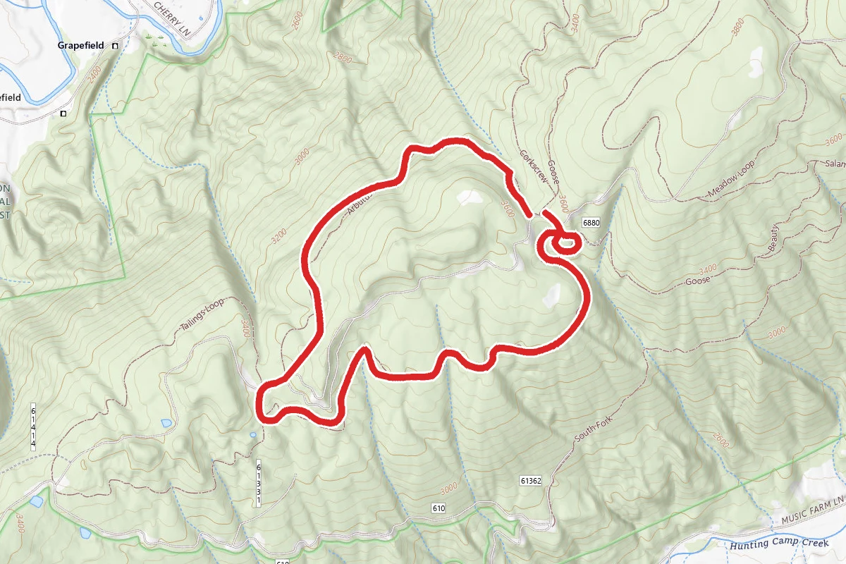 Arbitus Loop Forest - Trail 6702