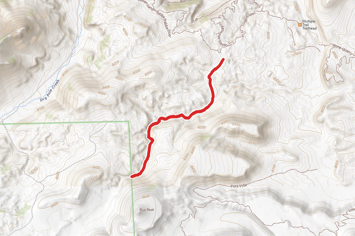 Rons Loop