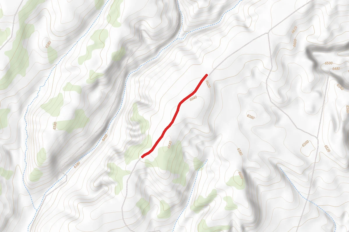 Wildcat Draw Road