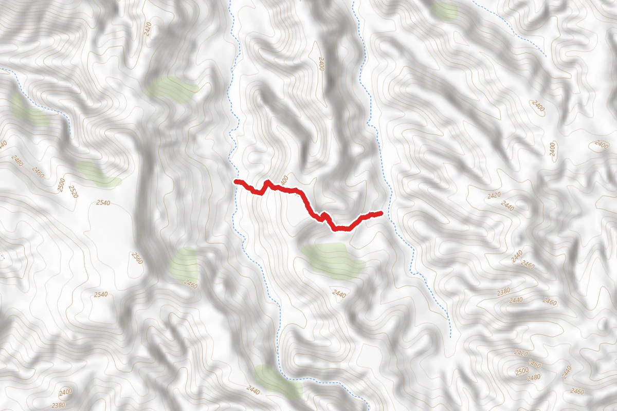 Lizard Rock Trail