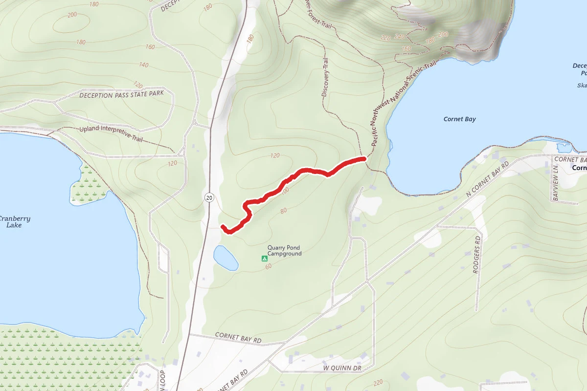 Lower Forest Trail