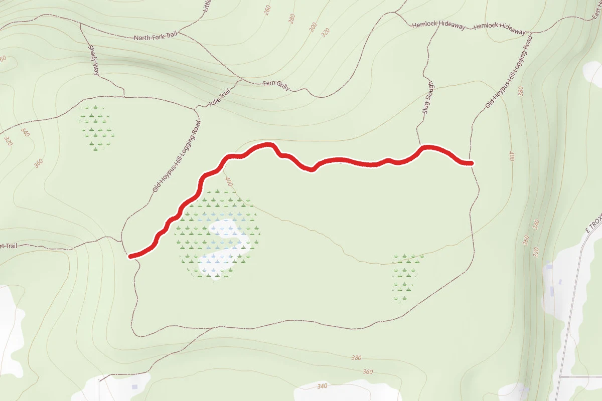 Big Marsh Trail