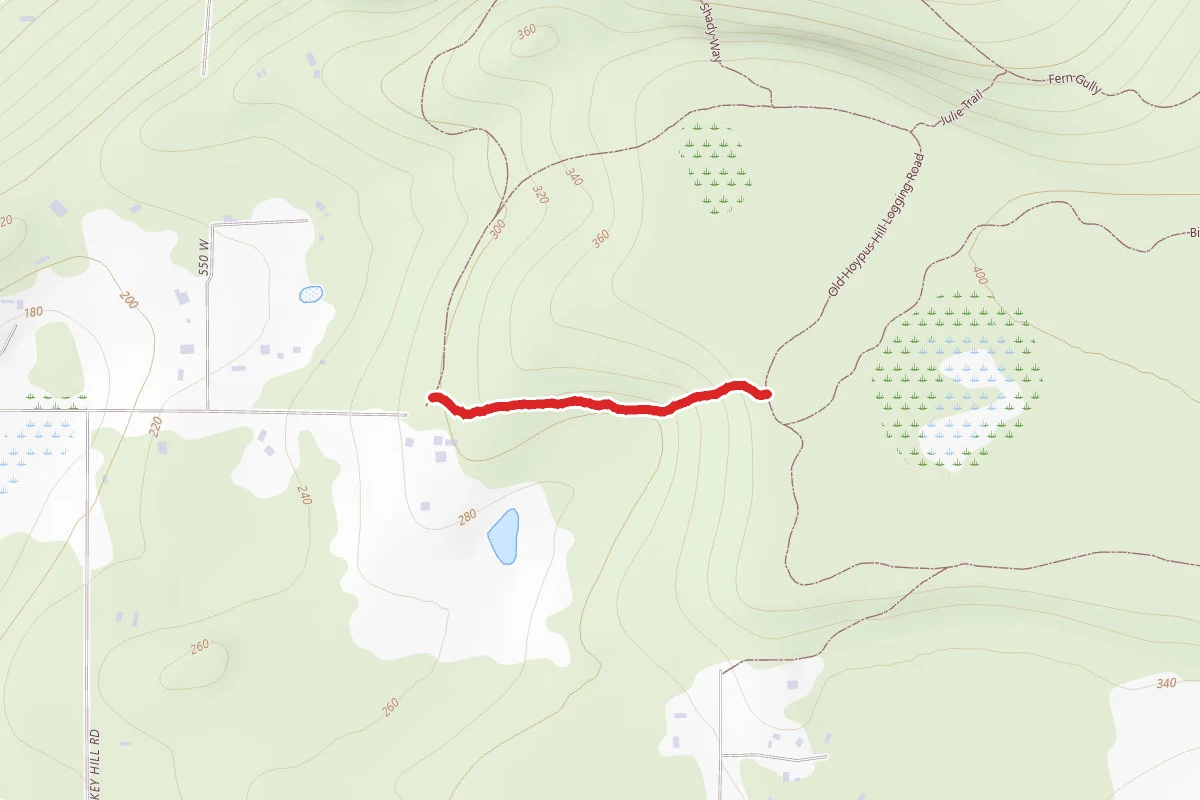 Short Trail