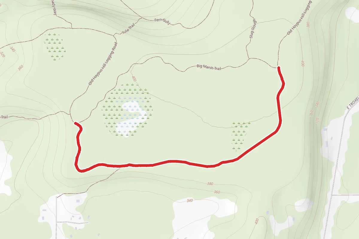 Old Hoypus Hill Logging Road