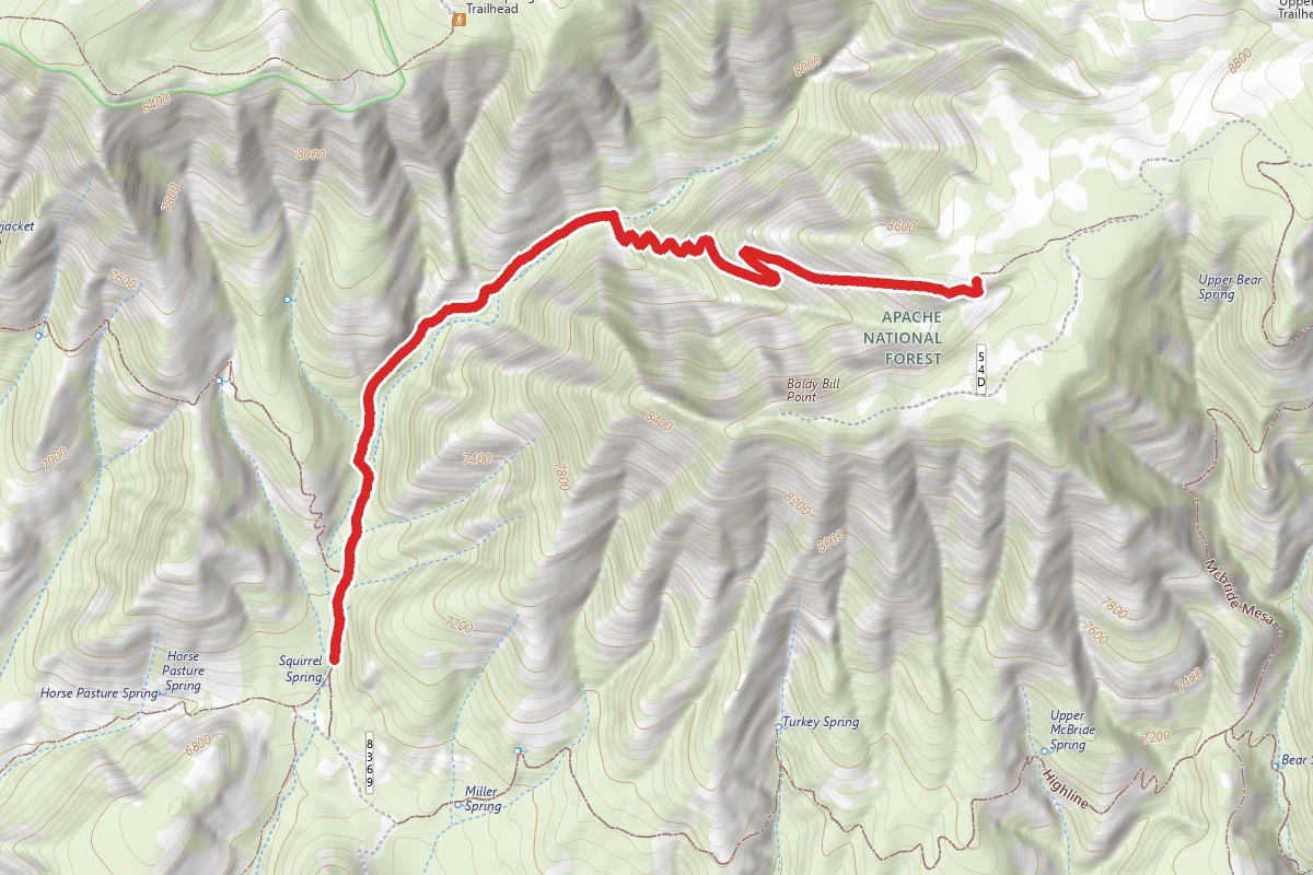 Squirrel Canyon