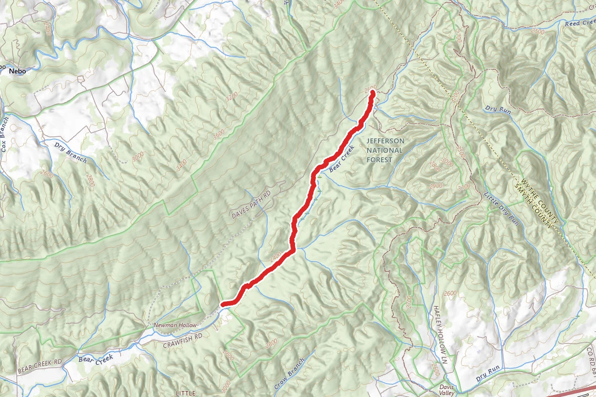 Bear Creek Trail - Forest Trail 159