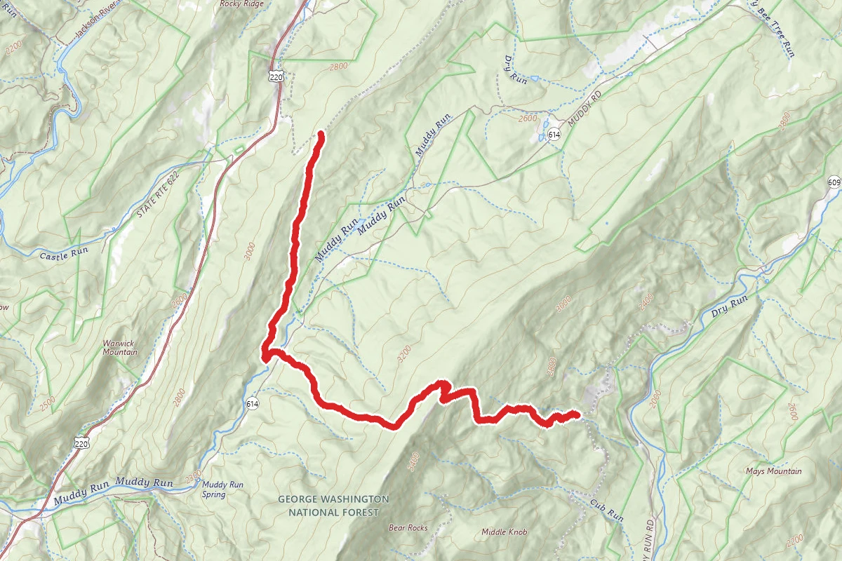 Bear Rock - Forest Trail 635