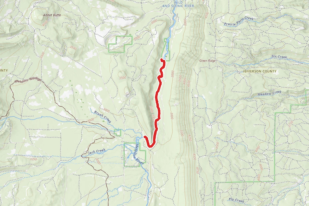 West Metolius River Trail