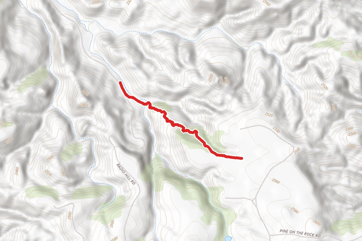 Switchback Trail