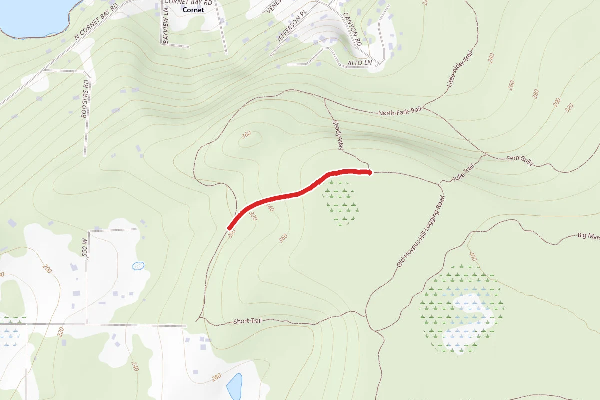 Old Hoypus Hill Logging Road