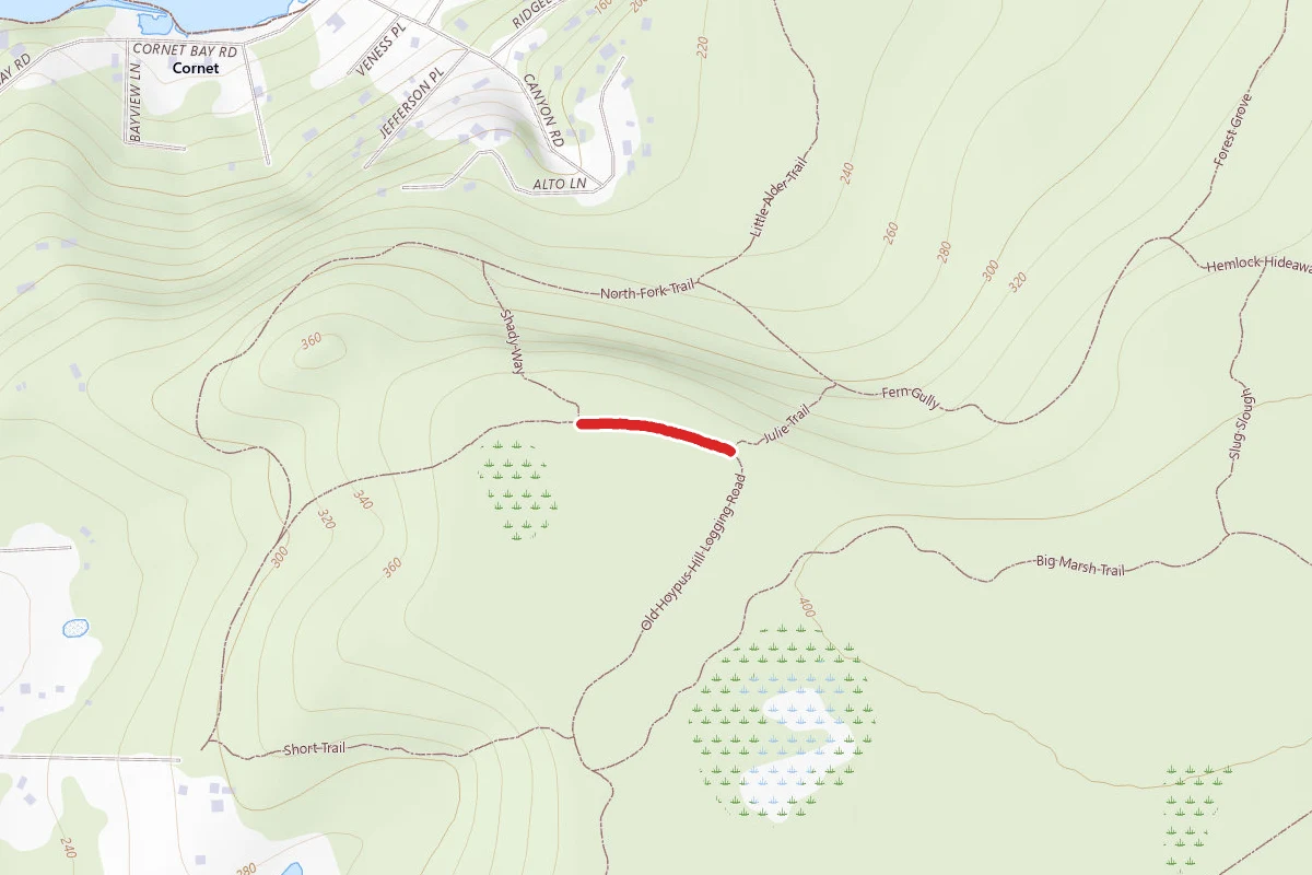 Old Hoypus Hill Logging Road