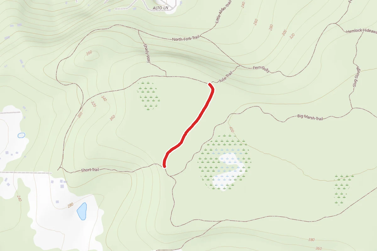 Old Hoypus Hill Logging Road