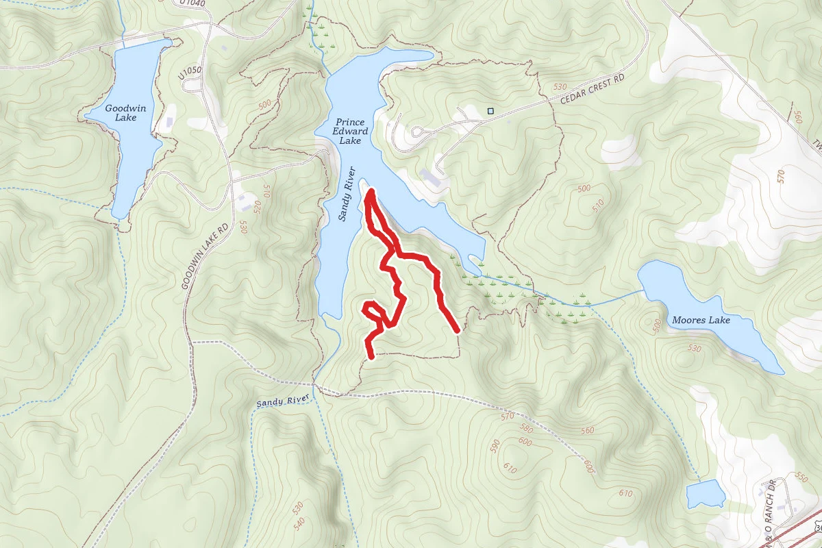 Beaver Point Trail