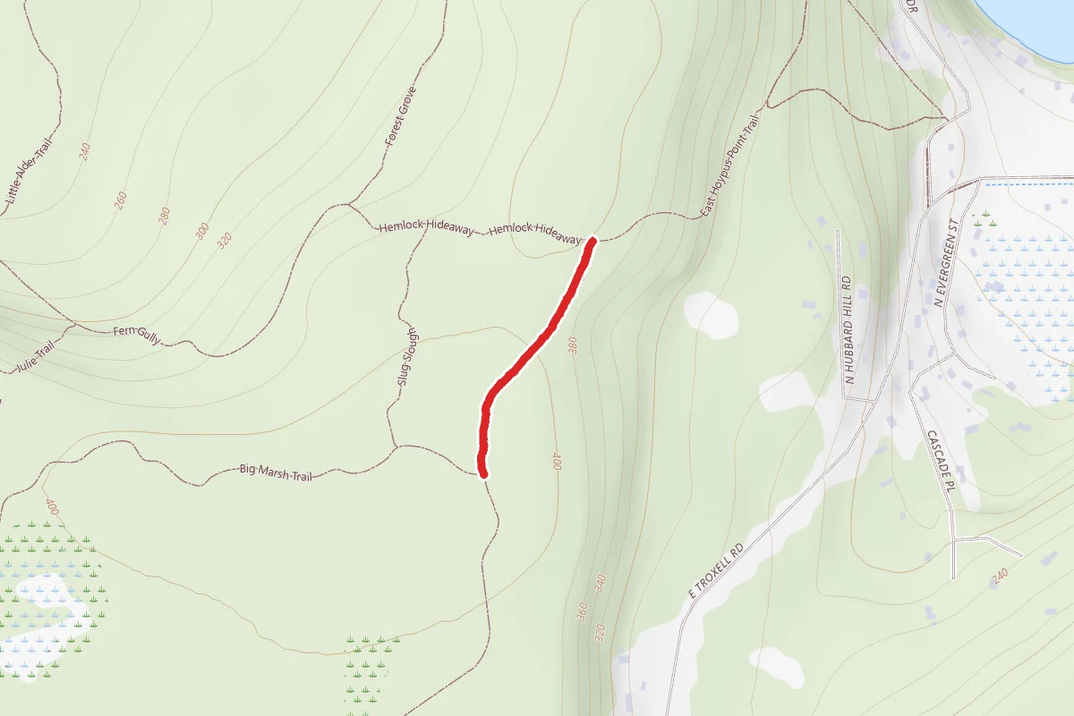 Old Hoypus Hill Logging Road