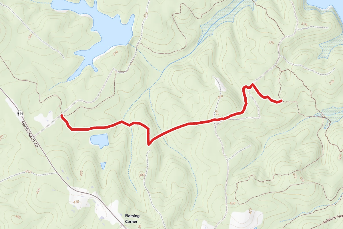 Beaver Swamp Trail