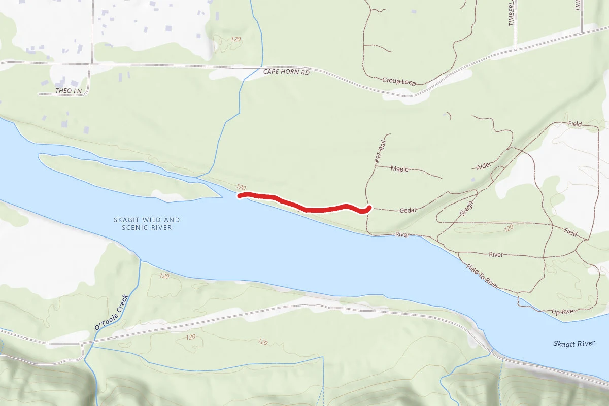 Skagit River Woods