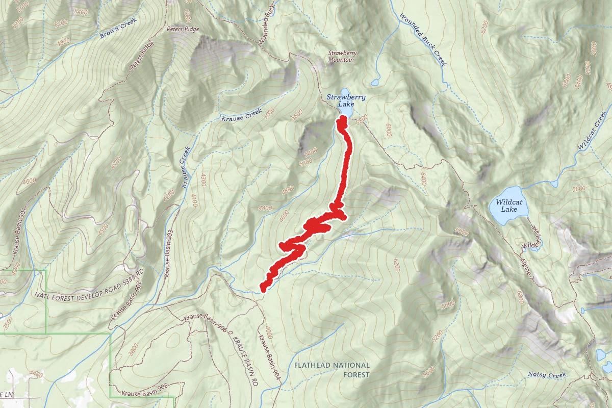 Strawberry Lake Trail No. 5