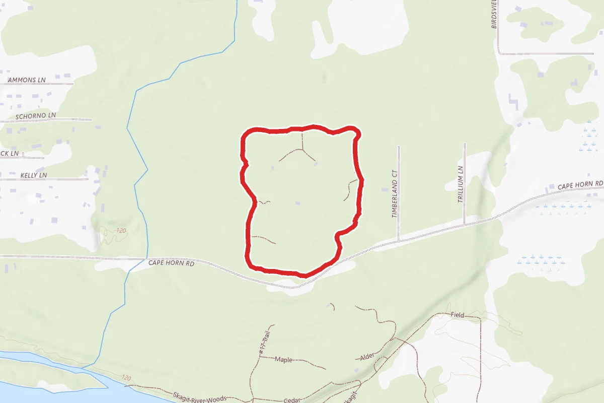 Group Loop