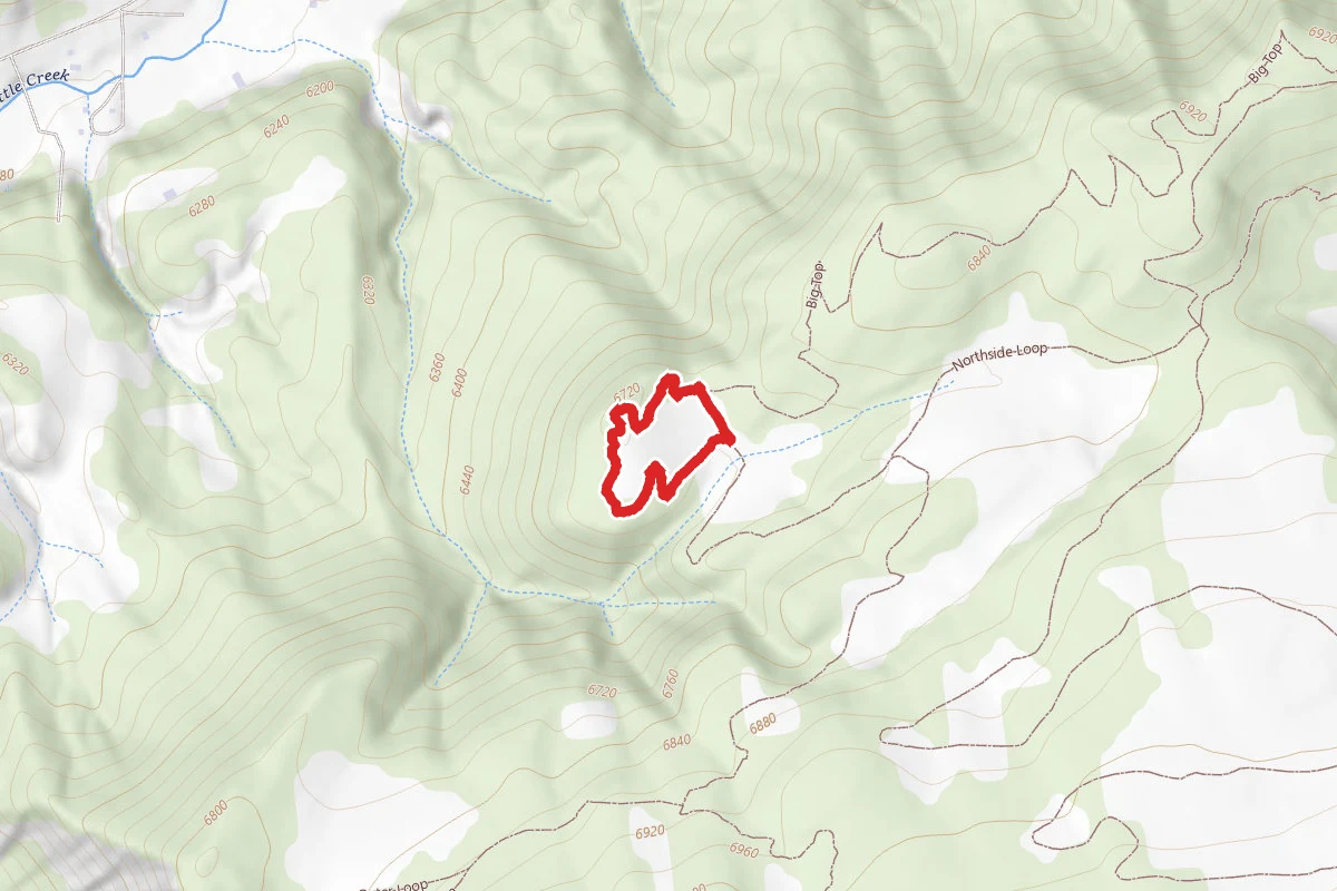 Sage Loop