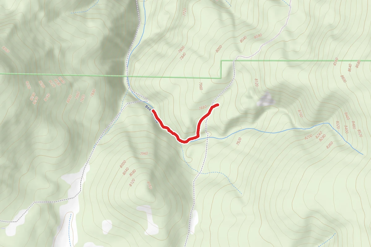 Forest Hollow/ Scout Trail