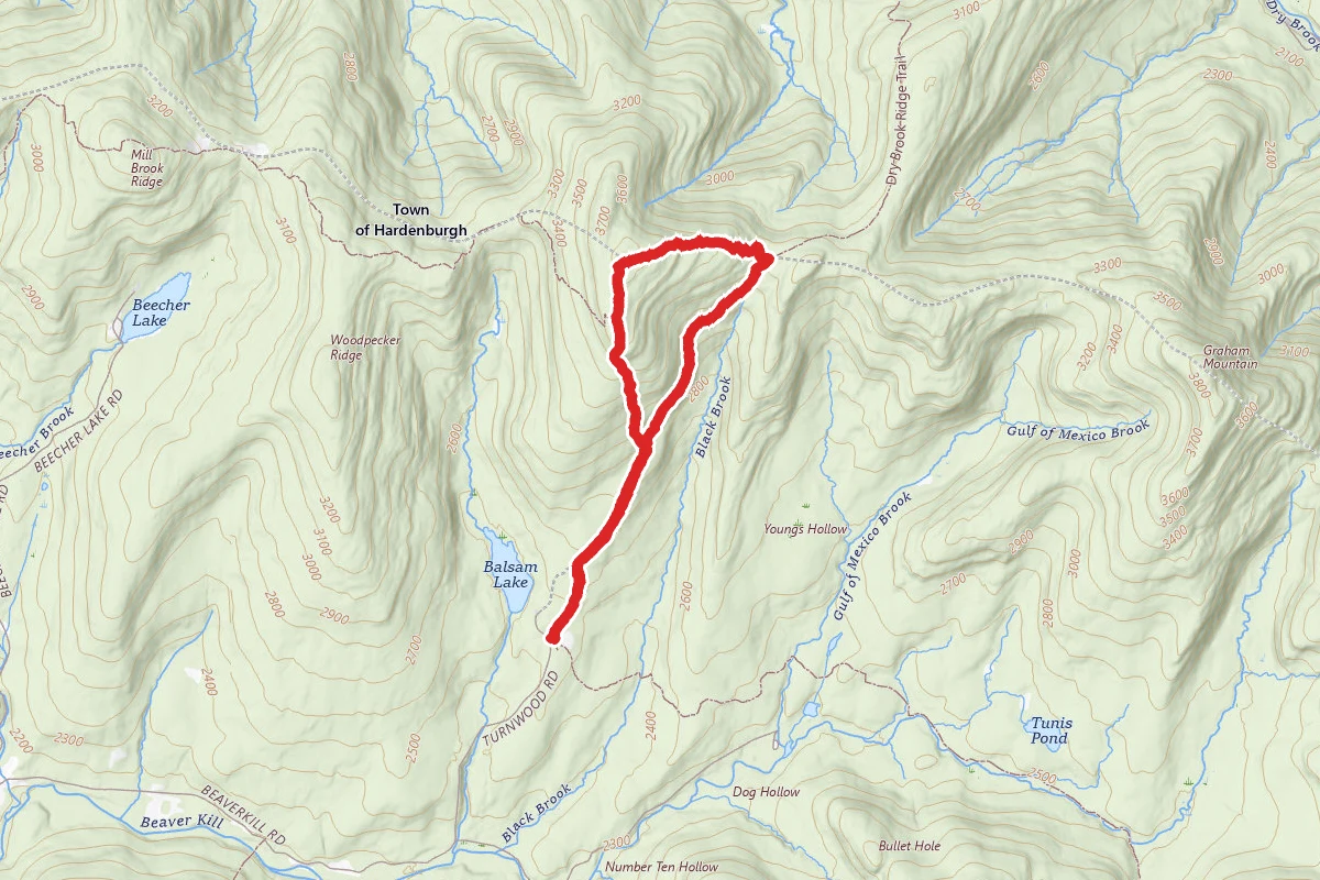 Balsam Lake Mountain Wild Forest Trail
