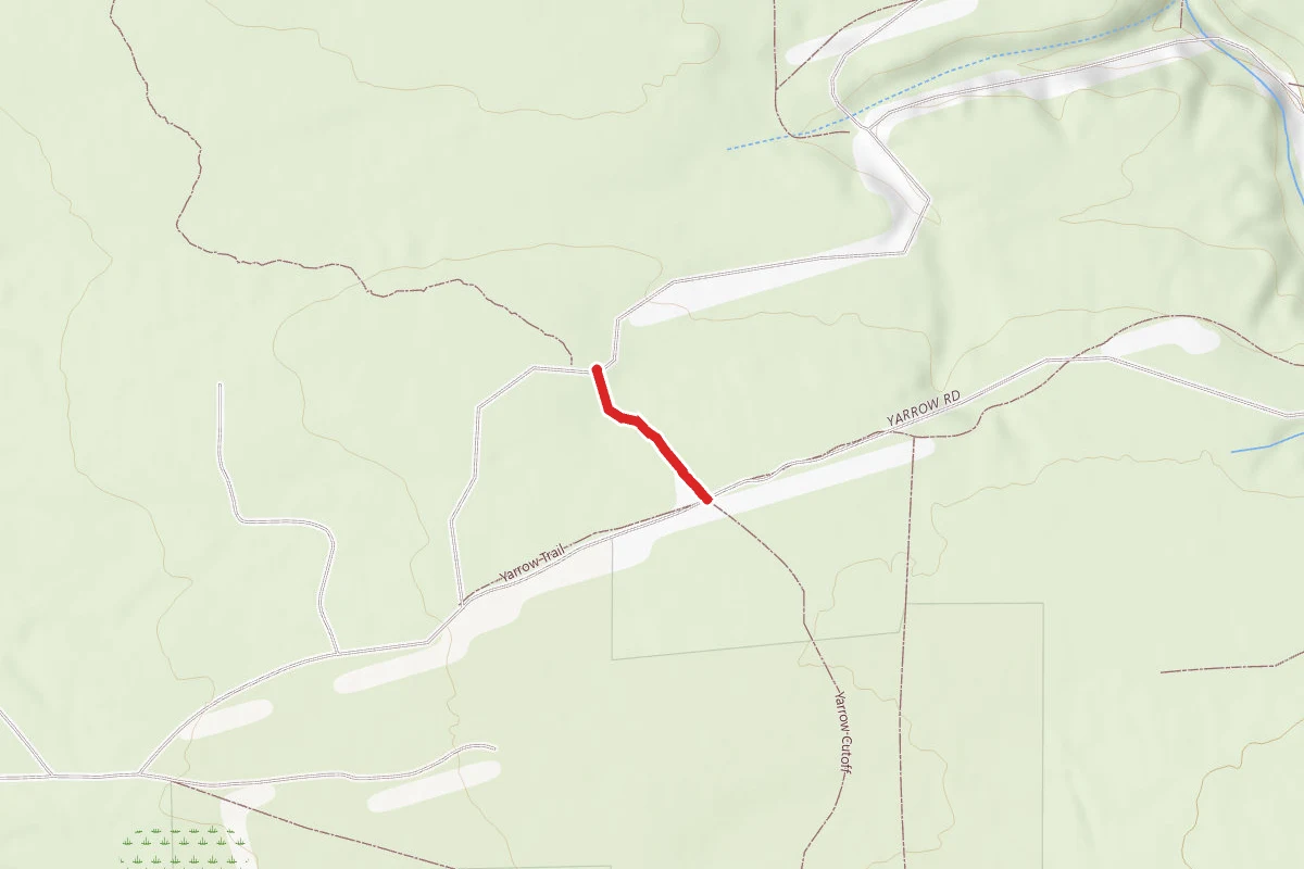 Manzanita Trail