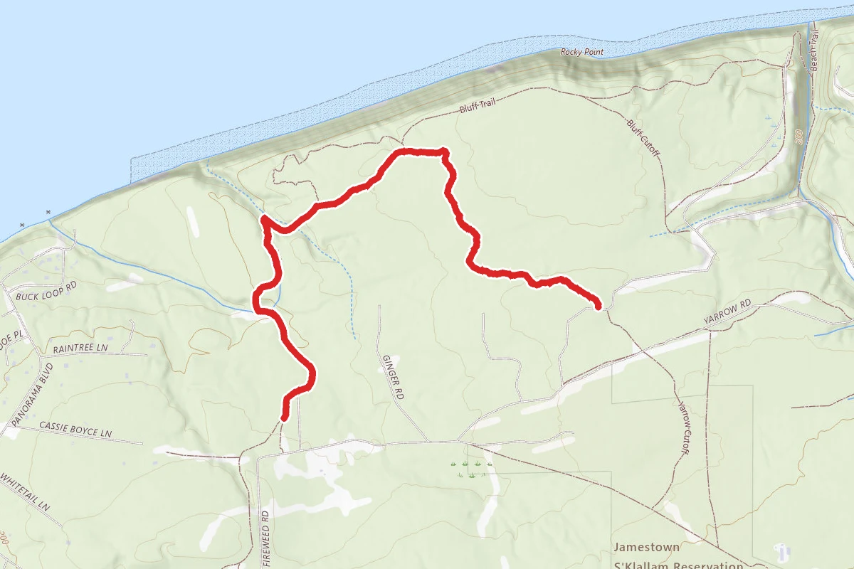 Manzanita Trail