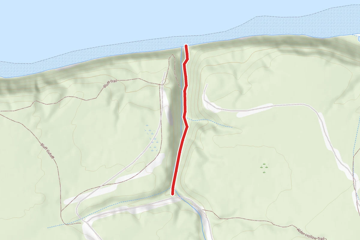 Beach Trail