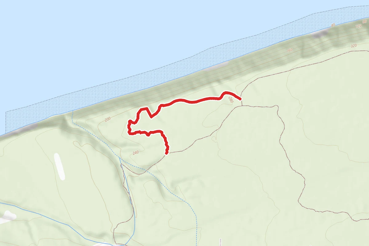 Bluff Trail