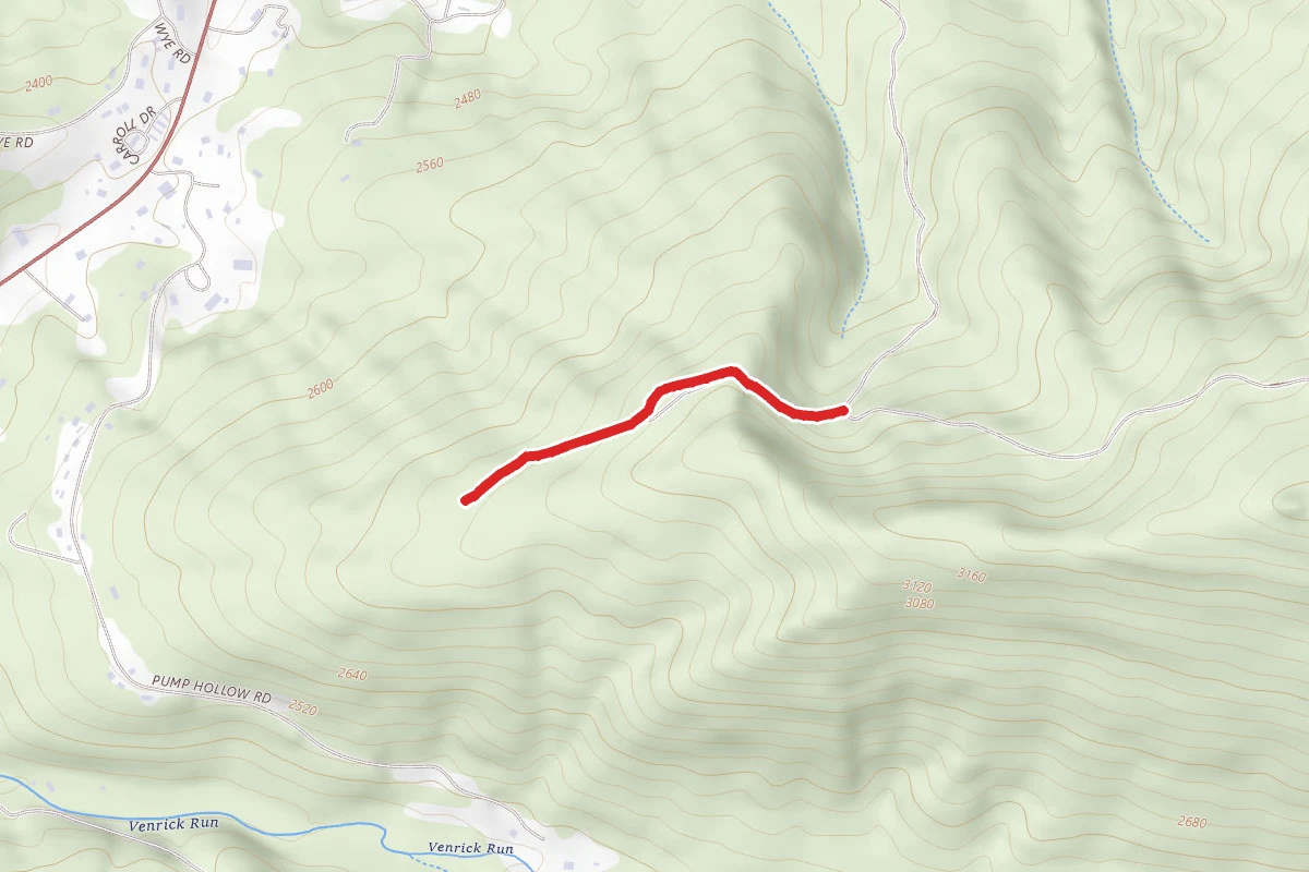 Big Survey Wma Trail