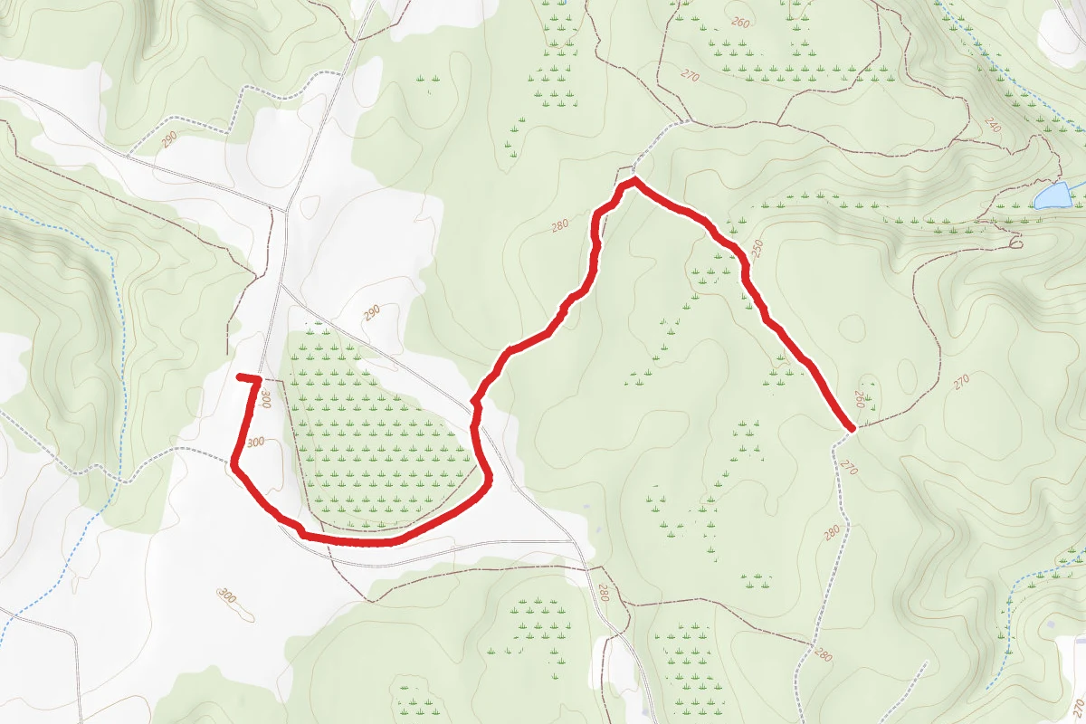 Big Wood Trail