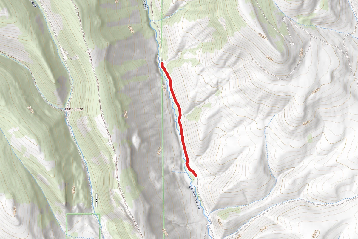 North Beaver Creek Trail