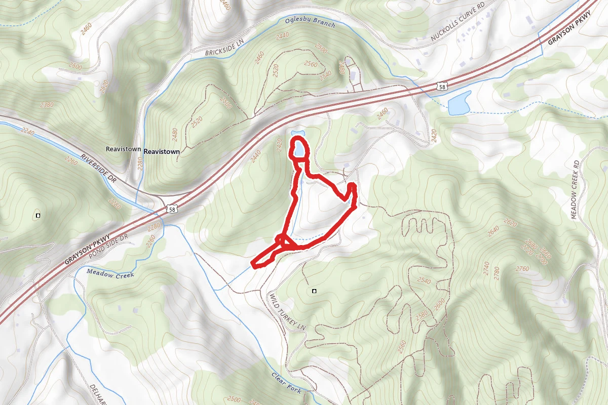 Birding Trail