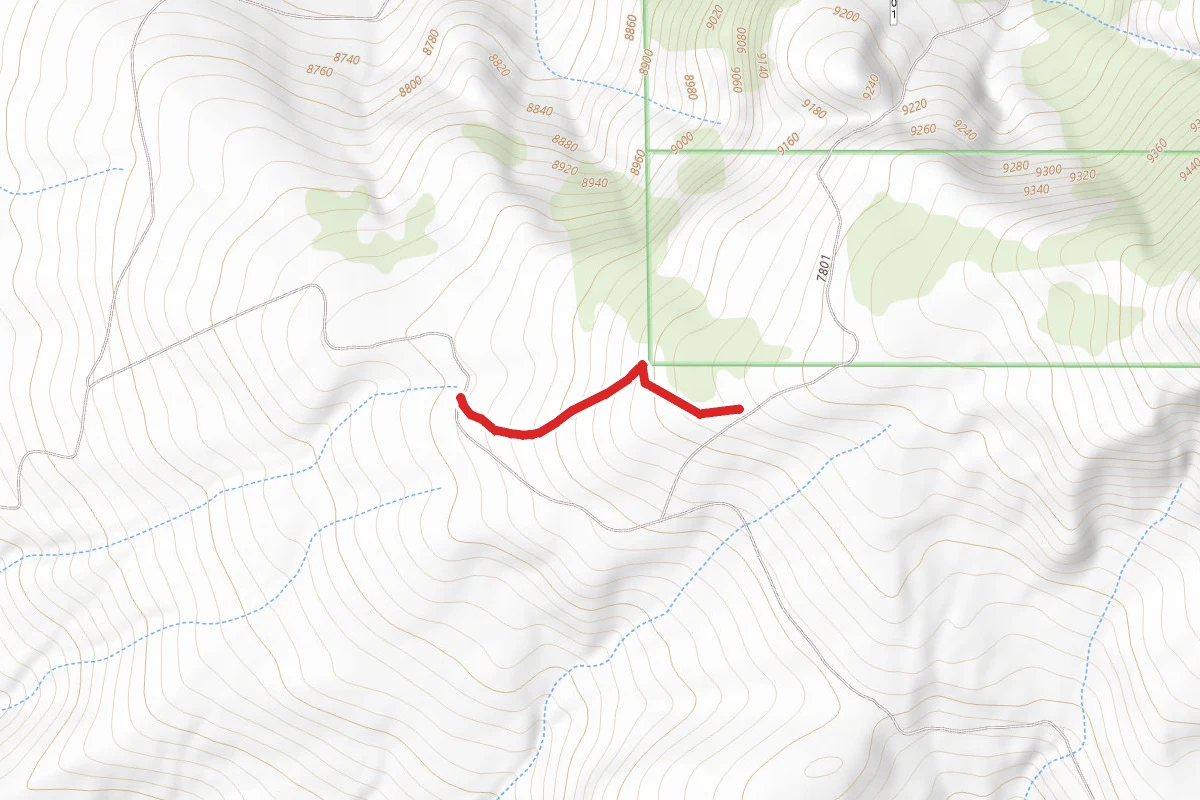 Tomichi Dome Access Road