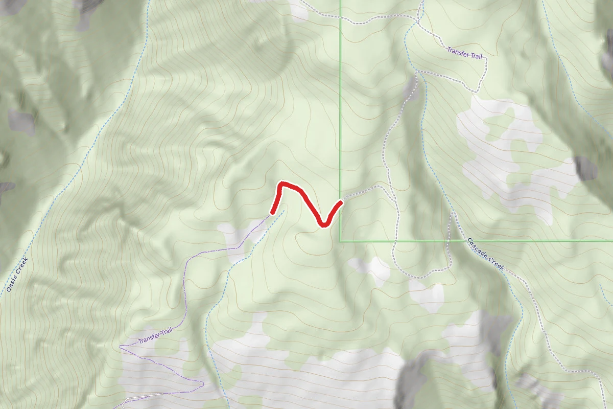 Transfer Trail