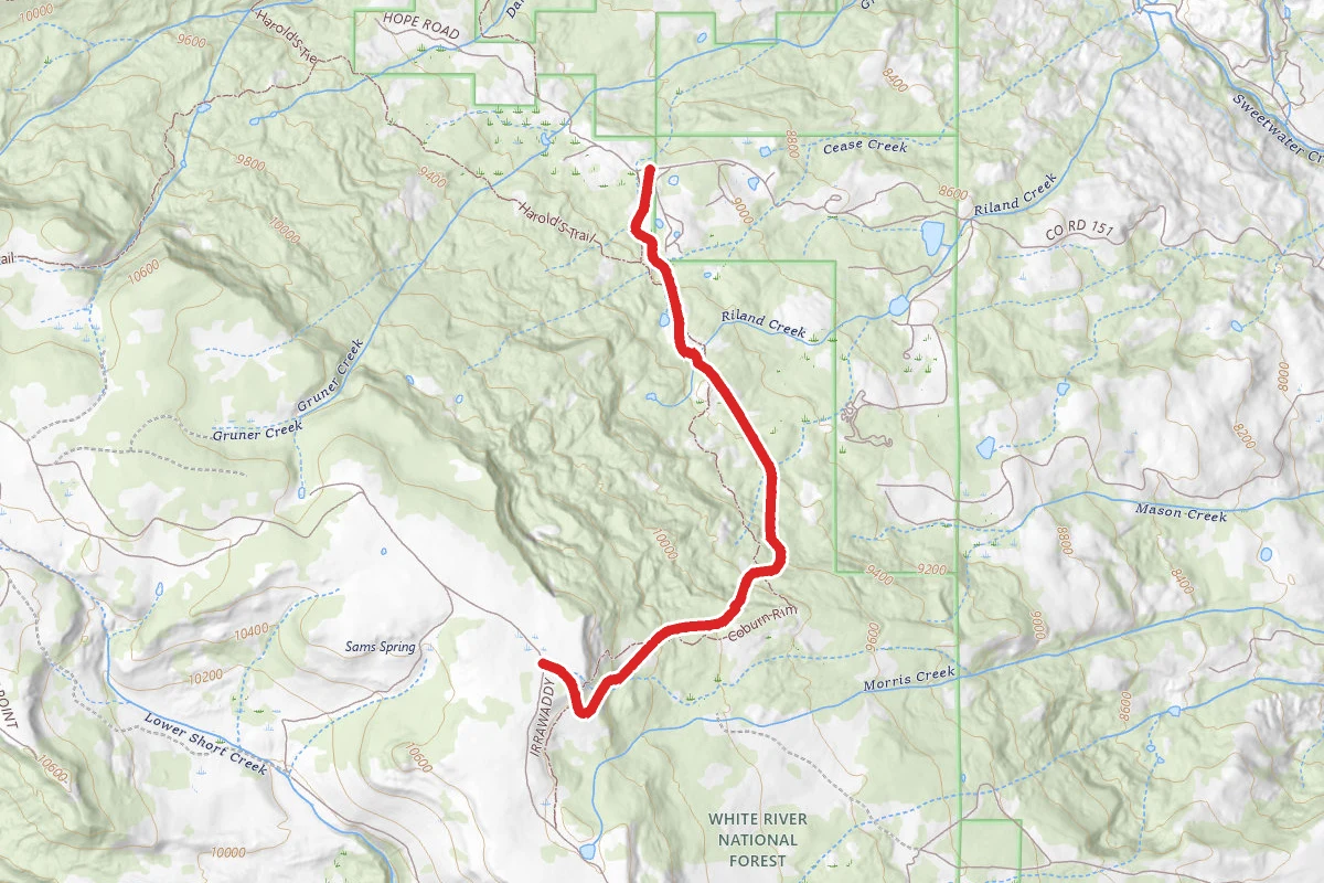 Coburn Rim Trail