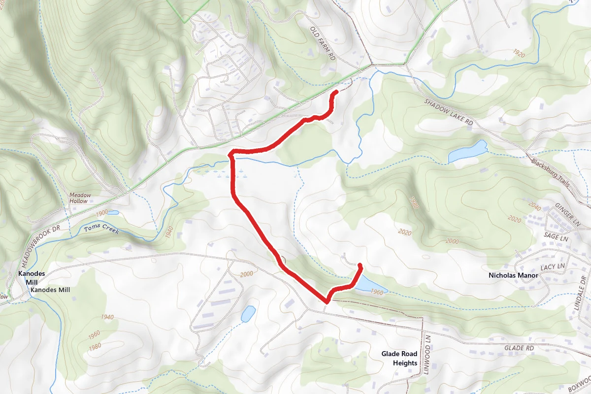 Huckleberry Trail