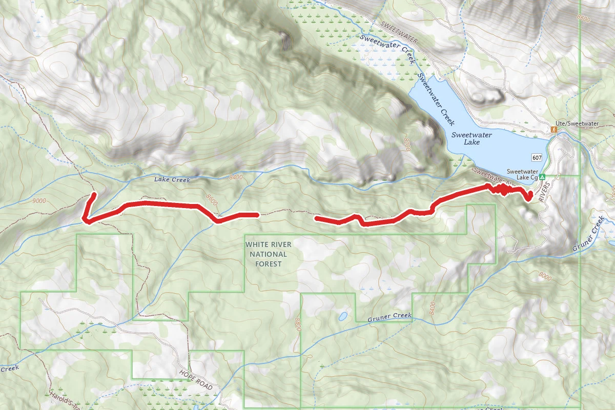 Ute - Deep Trail