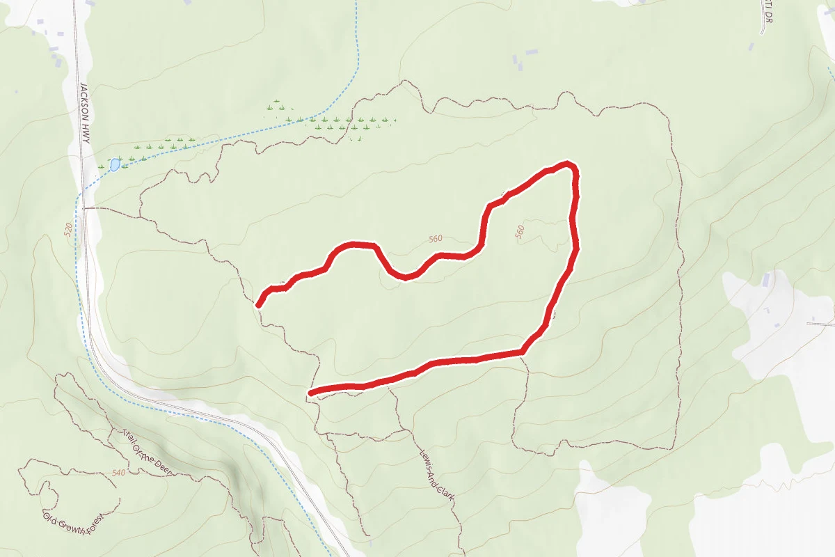 Black Bear Loop