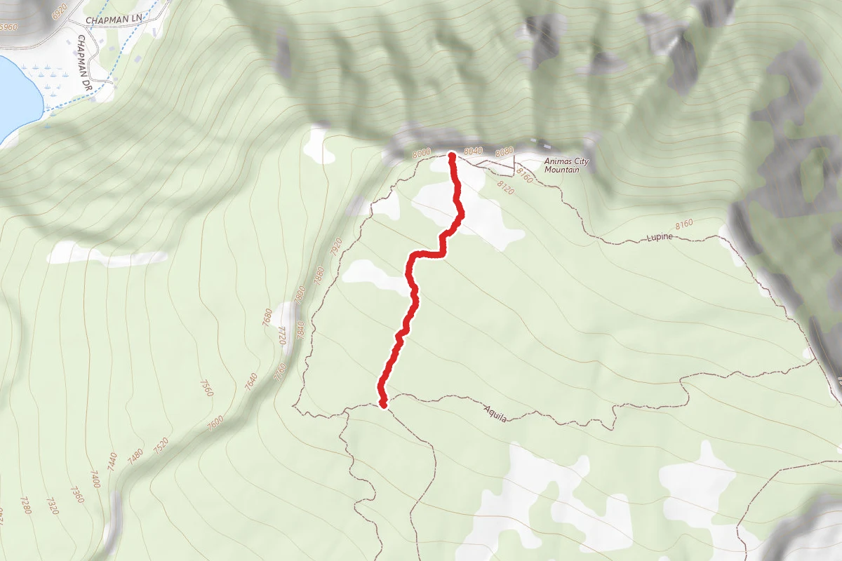 Animas Mnt./Cone Zon