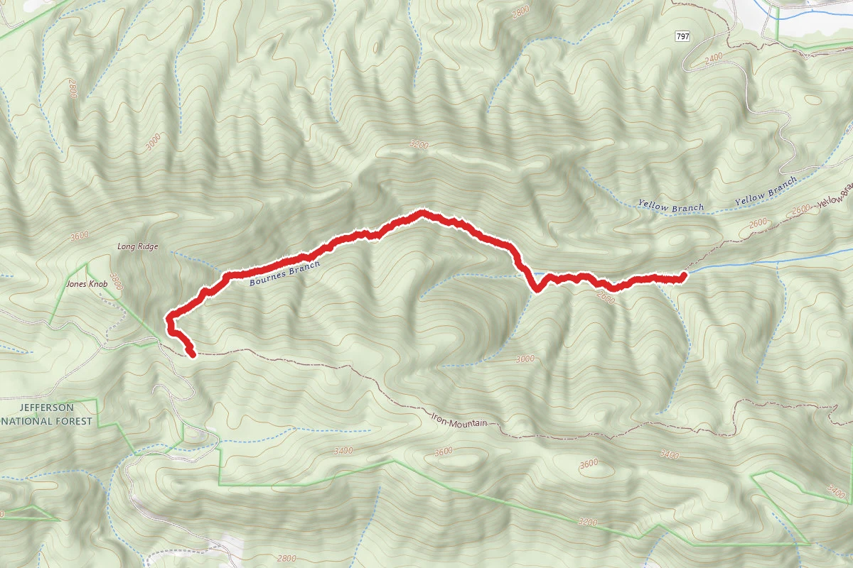Bournes Branch - Forest Trail 317