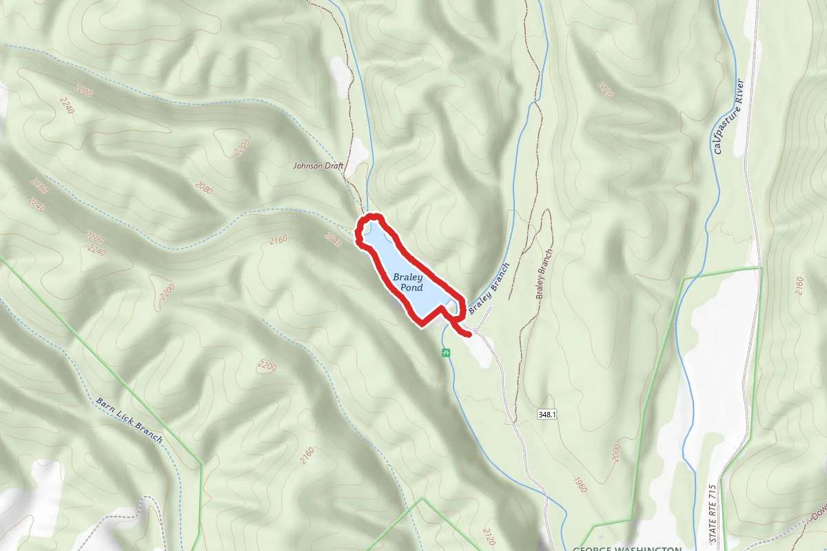 Braily Pond Trail - Forest Trail 653
