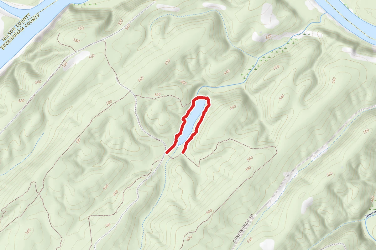 Branch Pond Loop
