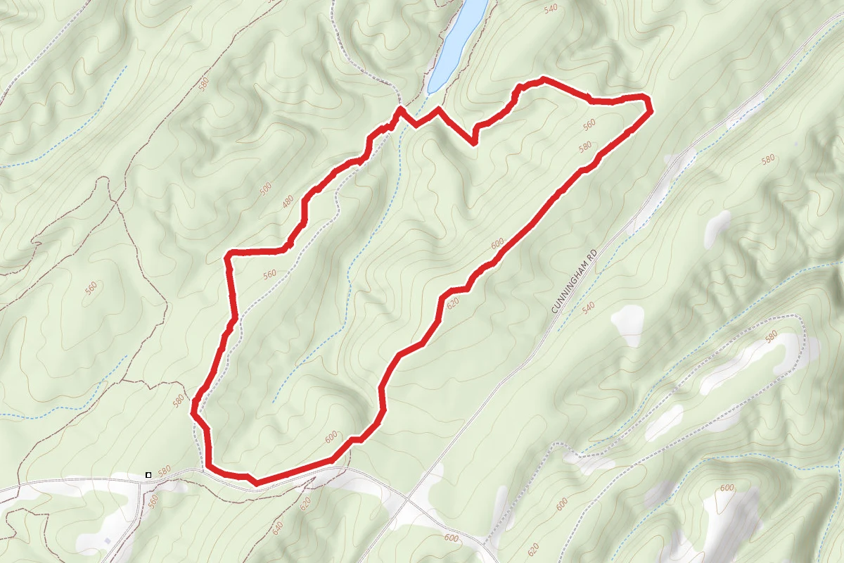 Branch Trail