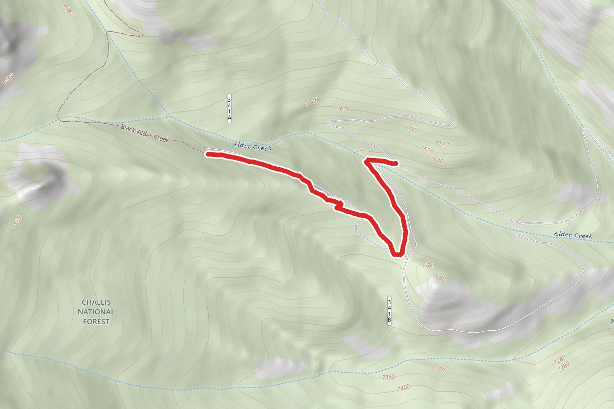 Black-Alder Creek