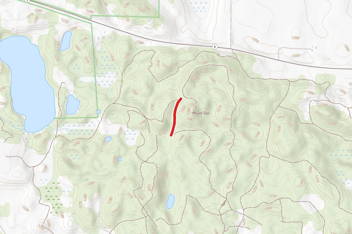 Park Trail