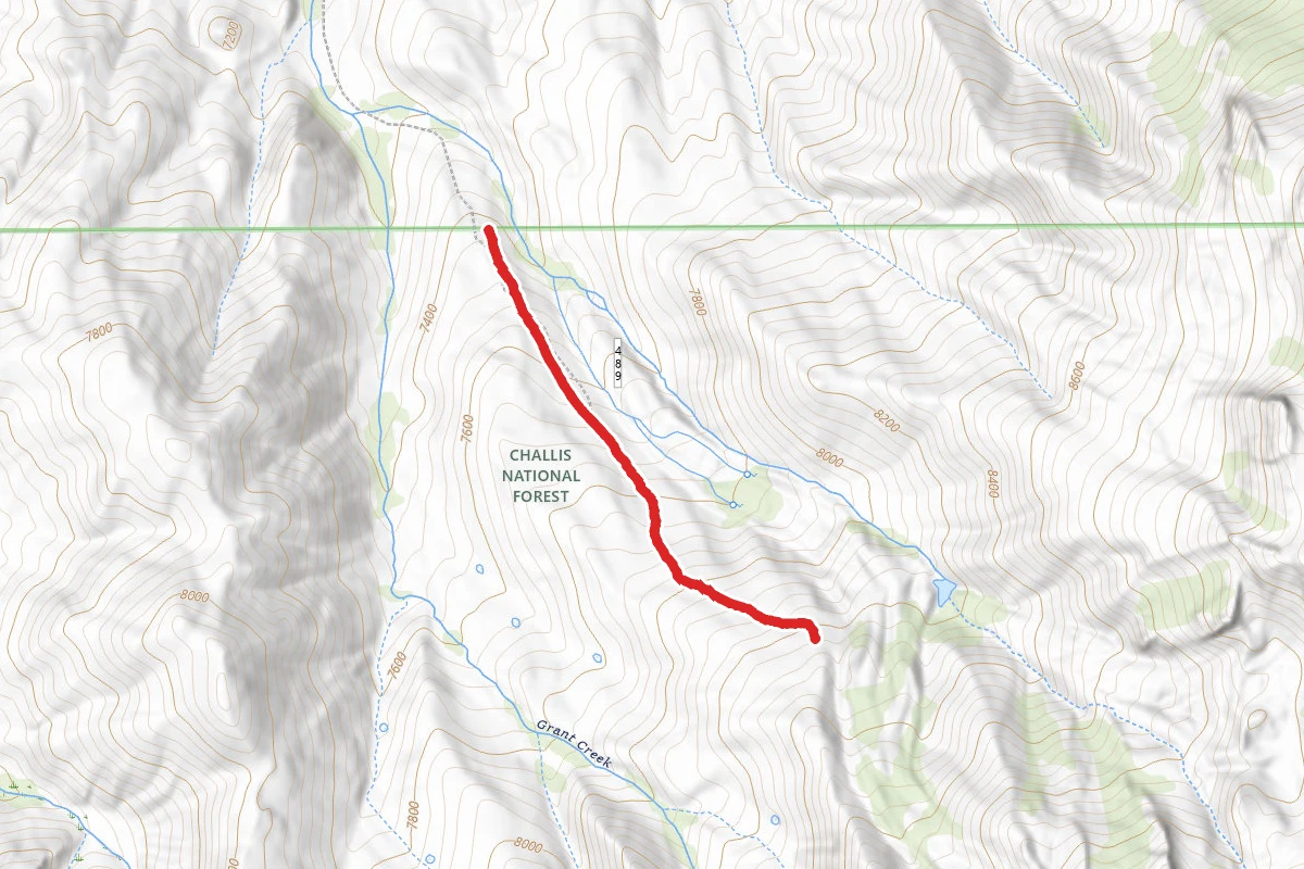 Grant Creek Trail