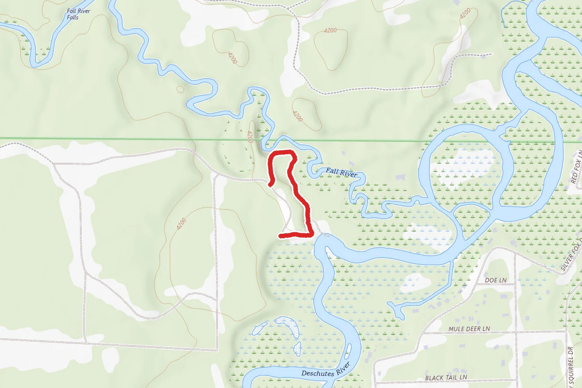 Fall River Trail